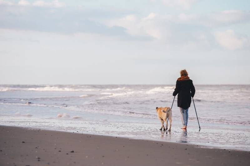 Urlaub am meer Callantsoog LekkerNaarZee